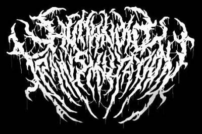 logo Humanoid Transmutation